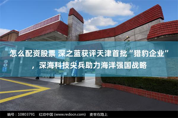 怎么配资股票 深之蓝获评天津首批“猎豹企业”，深海科技尖兵助力海洋强国战略