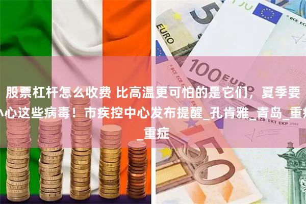 股票杠杆怎么收费 比高温更可怕的是它们，夏季要小心这些病毒！市疾控中心发布提醒_孔肯雅_青岛_重症