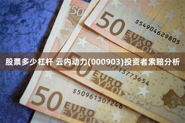 股票多少杠杆 云内动力(000903)投资者索赔分析